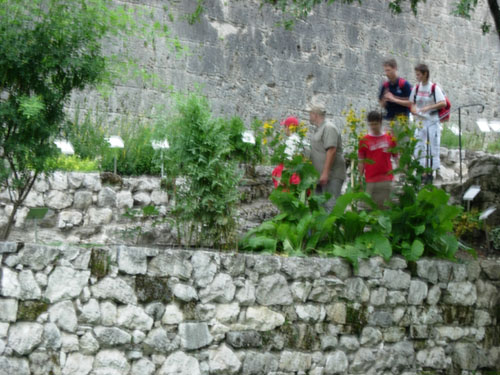 Blumenbad2