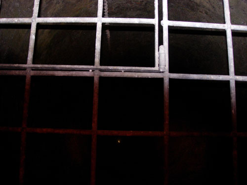 Gitter