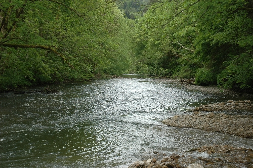 05 Die Wutach