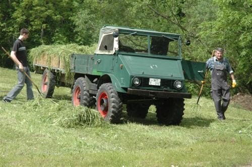 61