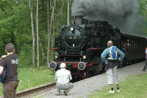 66