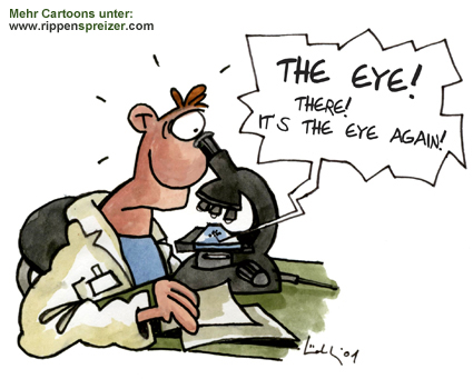 the eye