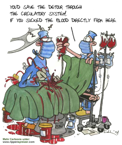 circulatory system