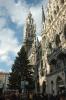 Christbaum und Rathaus