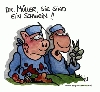 Schwein Schwein