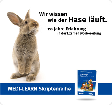 Der Hase