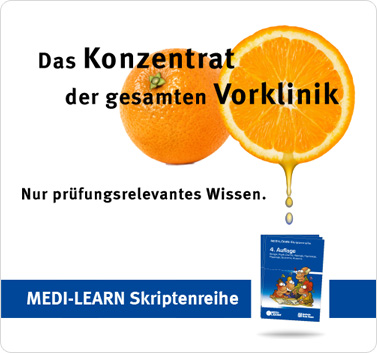 Das Konzentrat