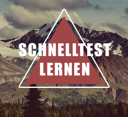 Schnelltest Lernen