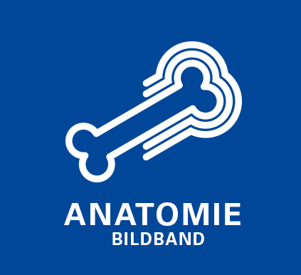 Bildband Anatomie