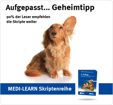 Jetzt kommt Farbe ins Spiel