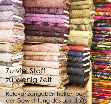 Zu viel Stoff, zu wenig Zeit