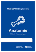 Anatomie