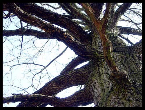 Der Himmel �ber mir