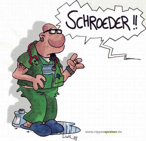 schroeder