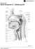 Pharynx, Sagittalschnitt