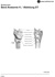 Larynx