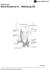 Arterien und Nerven der Glandula thyroidea