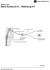 bersicht Ganglion ciliare