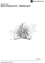 Lage des Herzens im Thorax
