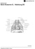 Topographie der Gefe im Thorax