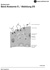 Spermatogenese